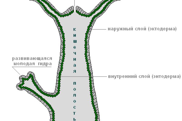 Рабочая ссылка на блэкспрут 1blacksprut me