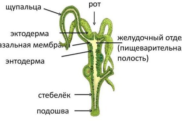 Блэк спрут ссылка клаб