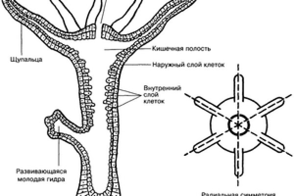 Вход на сайт blacksprut